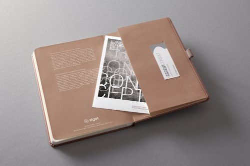 Conceptum Metallic Rose Lined Notebook