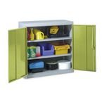 Locker Tool Double Door 984 X 915 X 505 Mm-grey & Green