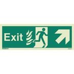 Sign Fire Exit 200 X 450 Photoluminescent Rigid
