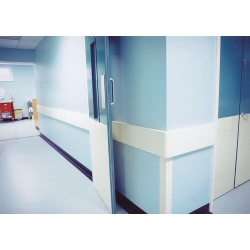 Vinylac wall protection - Rail section