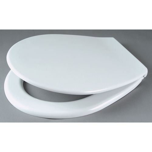 International toilet seat and cover