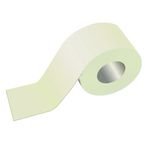 Photoluminescent Sign 'plaintape W X L: 5 cm X 10 m