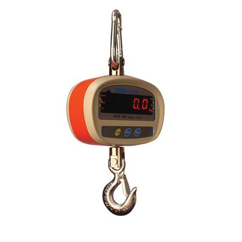Light duty LED crane weigher, 50kg