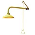 Wall Mounted Safetyshower with Plastic Head