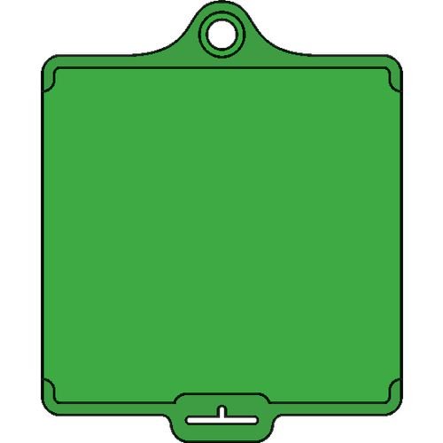 Assettag Medium Blank Pack 50 - Green