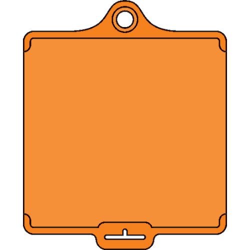 Assettag Medium Blank Pack 50 - Orange