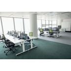 Avery Surface Protecting Film Labels,kills 99.9% Bacteria, A 3 Size, Removable, Pack of 10