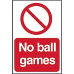 No Ball Games - Pyc (200 X 300 Mm)