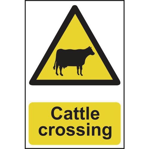 Cattle Crossing - Corex (200 X 300mm)