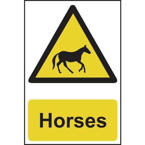 Horses - Crx (200 X 300mm)