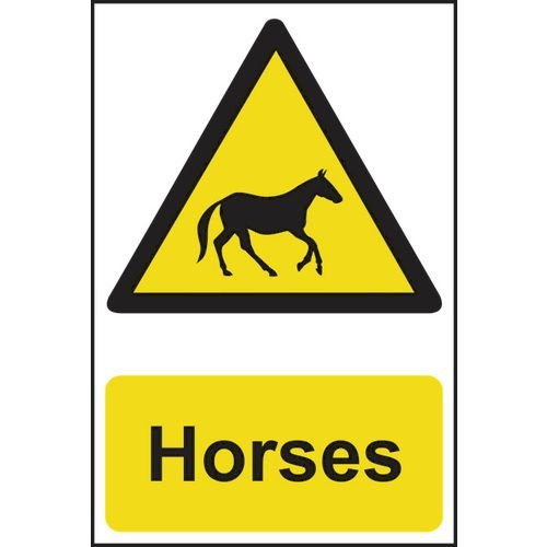 Horses - Sapp (200 X 300mm