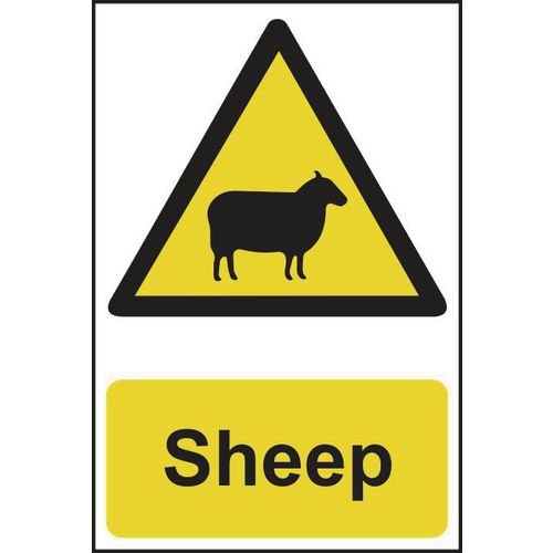 Sheep - Corex (200 X 300mm)