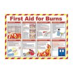 Safety Poster- First Aid for Burns