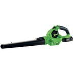 D 20 Garden Leaf Blower 1 X 2.0 Ah Battery and Charger