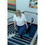 Valet Battery Vac Upright Ii