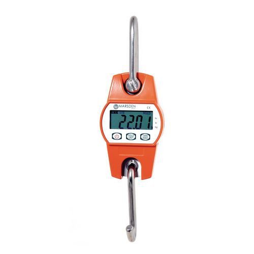 Light duty crane scale