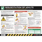 Safety Poster : Resuscitationof Adults - Pvc Poster (594 X 420 Mm)