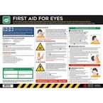 Safety Poster : First Aidfor Eyes - Pvc Poster (594 X 420 Mm)