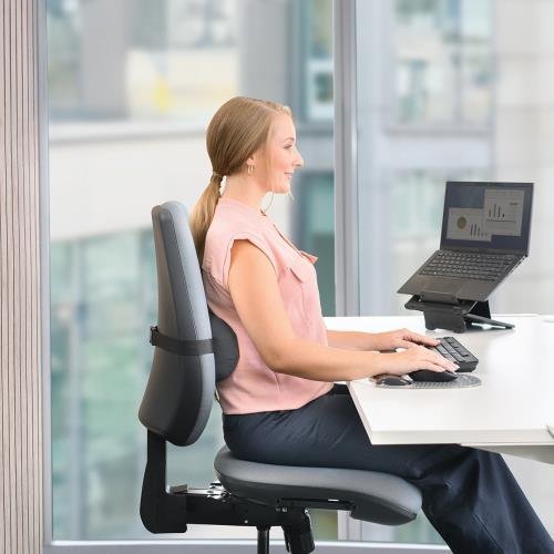 Fellowes Breyta lumbar back support cushion