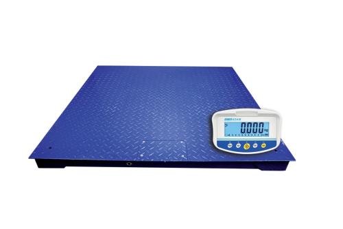 1000Kg Pt Platform Scale  With Gk-S Indicator, 1Mx1M