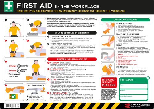 Safety Poster : Workplace First Aid Guide - PVC Poster (594 x 420mm)