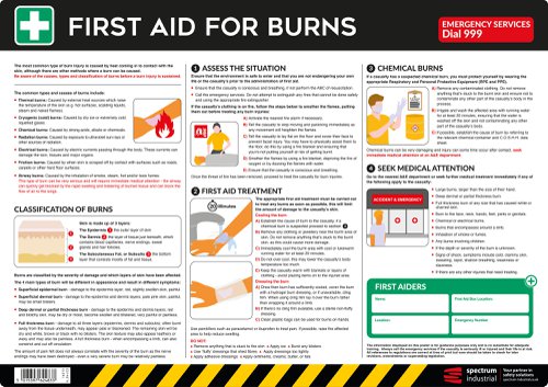 Safety Poster : First Aid for Burns - PVC Poster (594 x 420mm)