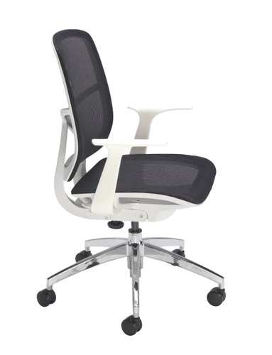 Zico chair new arrivals