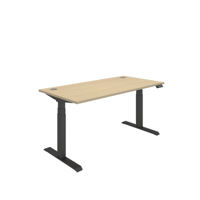 Office Rectangular Dual Motor Sit Stand Desk  1600X800 Oak/Black