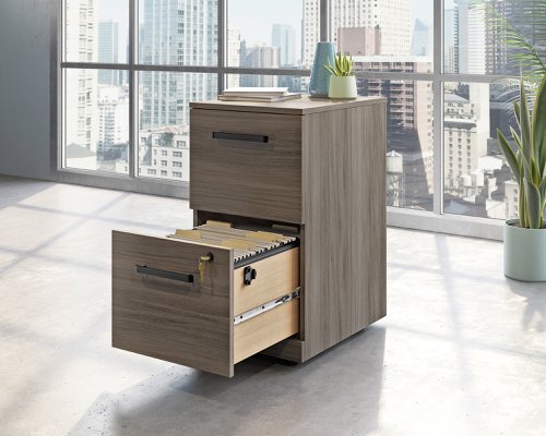 The Teknik Office Affiliate 2 Drawer Mobile Pedestal is  our functional and commercial style option for all manner of colour schemes and work spaces  This Mobile Pedestal has two spacious file drawers that opens and close on smooth full extension slides. Each drawer accommodates letter, legal or European size hanging files so you can keep all your important files and papers securely organized while being easily accessible. This lateral filer also includes a safety mechanism that only allows one drawer to open at a time, with the bottom drawer being lockable for stress free and safe storage. Beautifully finished in a Hudson Elm effect, this storage cupboard also benefits from a 360 degree finish for adaptable placement within your office while the hidden castors will ensure easy mobility to anywhere you wish to roll it.  There are also other matching cupboards, desks, hutches and bookcases within the Affiliate range which will complement this item.  