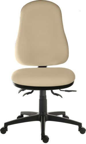 Teknik Office Ergo Comfort  Spectrum Executive Operator Chair Certified for 24hr use Aruba 