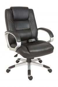 Teknik 6905 Lumbar Massage Black Chair