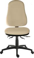 Teknik Office Ergo Comfort  Spectrum Executive Operator Chair Certified for 24hr use Aruba 