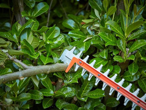 The BLACK + DECKER BCHTS3620L1 Hedge Timmer is part of the 36V battery platform for long lasting power without the hassle of a cord. Its blade with SAWBLADE™ tip helps you power through branches up to 35mm wide. Whilst the 55cm hardened steel dual-action blade with a 22cm blade gap slices through hedges with ease. The innovative POWERCOMMAND™ feature clears jams easily at the push of a button reducing down time.Cordless convenience. Part of the 36V battery platform for long lasting power without the hassle of a cord. The 36V BLACK+DECKER battery is compatible across all other BLACK+DECKER 36V tools.Supplied with: 1 x 36V 2.0Ah Li-ion Battery and 1 x Charger.Specifications:Blade Length: 55cm, 22mm gap.Charge Time: 90 min.