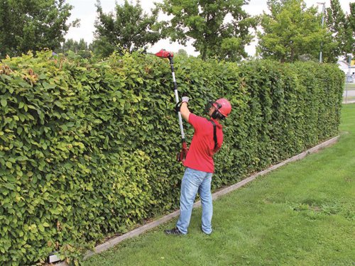 The Einhell GE-HH 18/45 Li T-Solo Power X-Change High Trimmer is ideal for the maintenance of hedges, shrubs and bushes. Its metal gearbox provides long duration, and the laser-cut and diamond-grind steel knives provide clean cutting results. The stable aluminum telescopic handle can be adjusted and fixed infinitely at each height. The infinitely adjustable additional handle is customized to the user with its practical quick-lock.To execute even difficult vertical and horizontal cuts aloft cleanly and precisely, the motor head can be sloped 7-fold and the main handle 4-fold to adjust them to each working situation. The shrub shear can be transported and stowed comfortably in the sturdy cutter guard. Offers wireless freedom as a member of the Power X-Change family. Comes as a Bare Unit, NO battery or charger. Specifications:Sword Length: 45cm.Teeth Spacing: 16mm.Cutting Length: 40cm.Weight: 4.28kg.