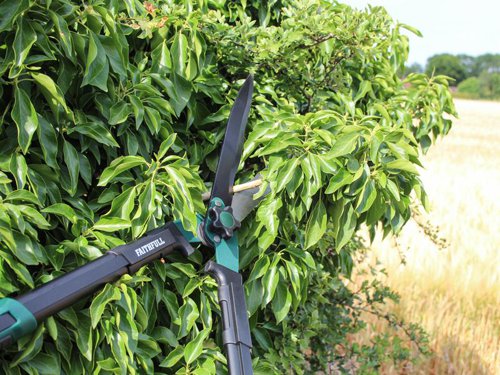 Faithfull Countryman Hedge Shears feature a 300mm long blade. This wavy shaped blade helps to hold the branch while cutting, preventing it from sliding.The hardwearing steel blades are designed to both resist corrosion and provide a smooth, frictionless performance.Blade tension can be easily adjusted by turning the daisy shaped wheel.The strong aluminium handles have reinforcing ribs to reduce flex and are fitted with soft grips to provide extra comfort during prolonged periods of use.Blade length: 300mm (12in)Overall length: 700mm (28in)