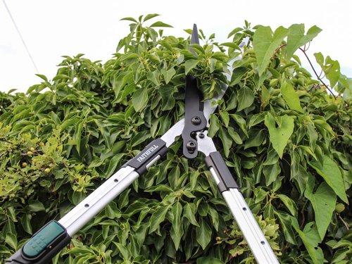 Faithfull Countryman Telescopic Hedge Shears feature a 300mm long wavy blade. The wavy shaped blade helps to hold the branch while cutting, preventing it from sliding. A power-saving heavy-duty gear mechanism enables branches to be cut with less effort.The hardwearing steel blades are designed to both resist corrosion and provide a smooth frictionless performance. Three-position telescopic aluminium handles allow the length of the shears to be adjusted to between 76cm and 88cm. Reinforcing ribs reduce flex and soft grips provide the user with extra comfort during prolonged periods of use.Specification:Blade Length: 300mm (12in)Adjustable Length: 760-880mm (30-34.5in)