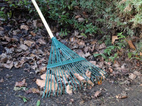 FAI Countryman Leaf Rake 22 Flat Tines