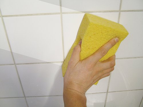 FAITLSPONGE Faithfull Cellulose Sponge