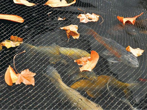 HOZ 1730 Pond Cover Net 3 x 2m