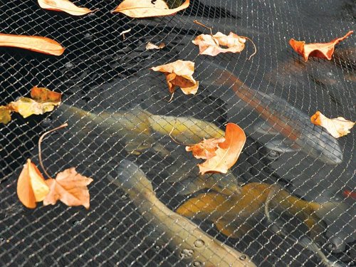 HOZ 1736 Pond Cover Net 6 x 4m
