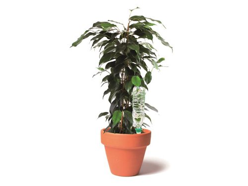 HOZ 2717 Green AquaSolo Watering Cone for Medium 16in Pots