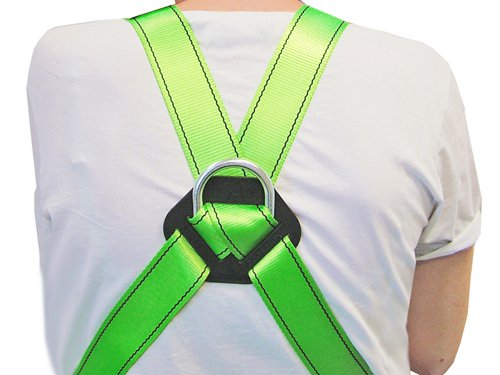 SCA Fall Arrest Harness 2-Point Anchorage