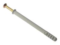 ForgeFix Frame Fixing & Plug M10 x 100mm Bag 10