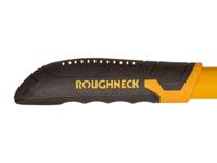 ROU66867