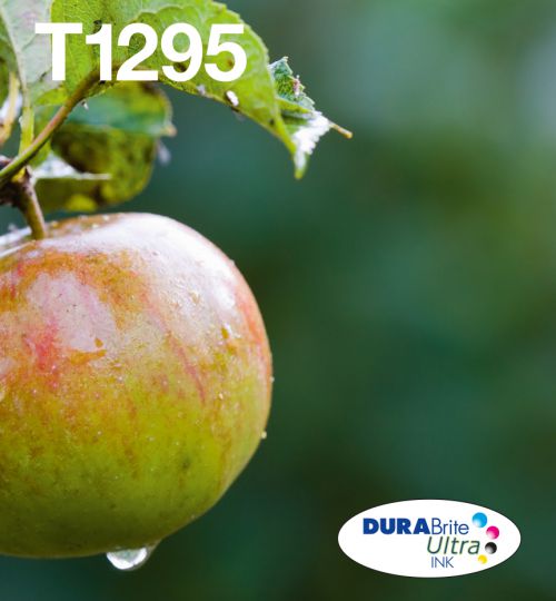 Epson Apple T129 (32.2ml) Durabrite Ultra EasyMail Multipack Ink Cartridges ((Black/Yellow/Magenta/Cyan)