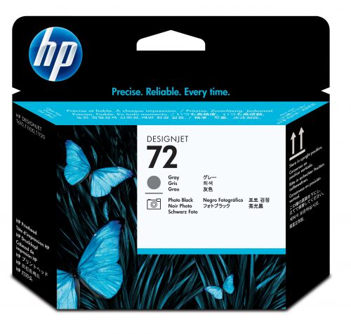 HP 72 Inkjet Printhead (Photo Black/Grey)