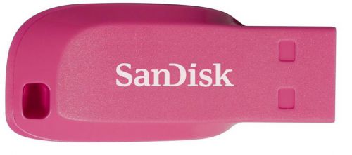 SanDisk (32 GB) Cruzer Blade USB 2.0 Flash Drive (Pink)