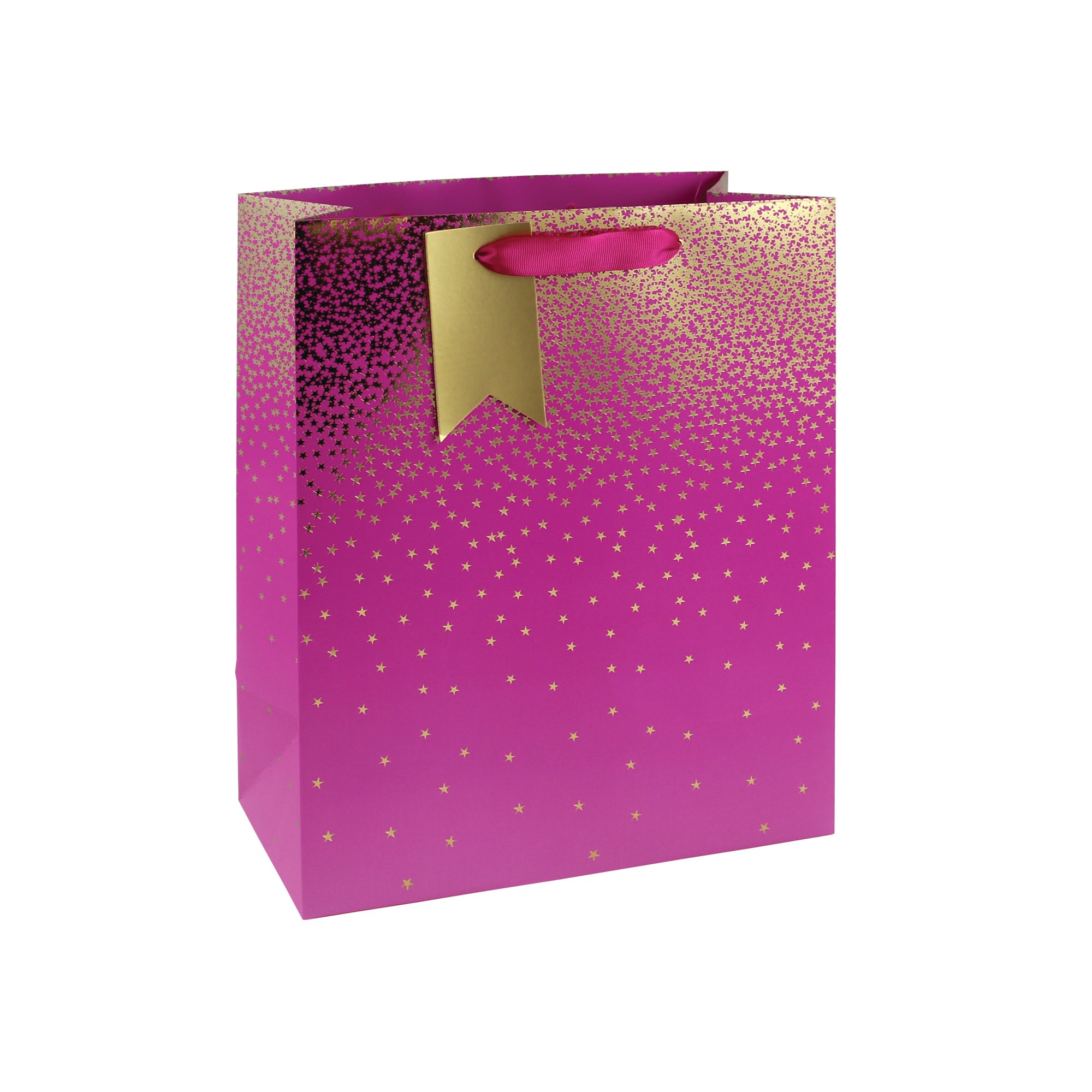 Eurowrap Ombre Gift Bag 210gsm Large Pink Pack of 6 29835-2CC