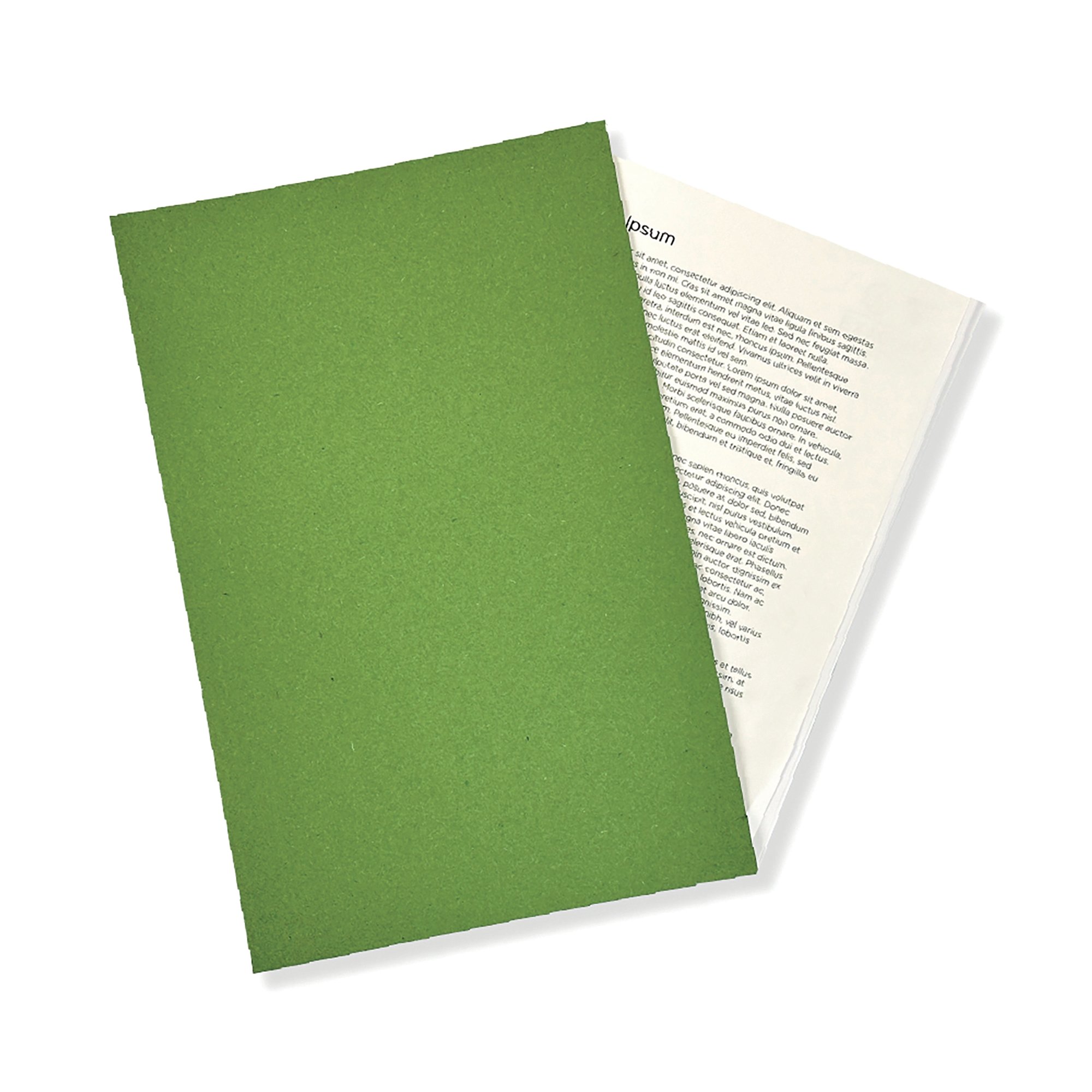 Exacompta Guildhall Square Cut Folder 315gsm Foolscap Green (Pack of 100) FS315-GRNZ
