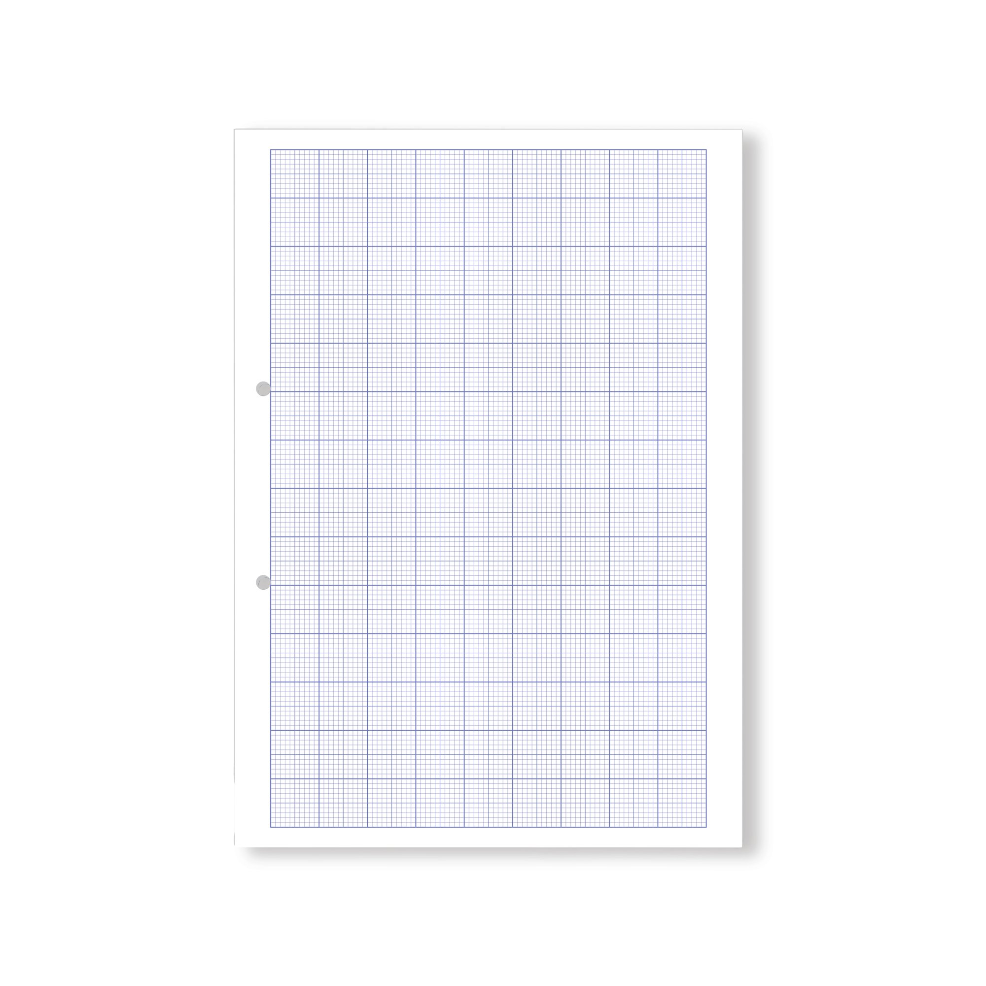 Hamelin Loose Leaf Graph Paper 20mm 1000 Page Punched 2 Hole A4 (Pack of 5) 100104521